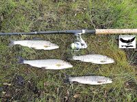 Швеция заполярье хариус путь через Кируна и озеро Торнетреск