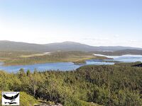 Швеция заполярье хариус путь через Кируна и озеро Торнетреск
