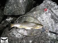 Швеция заполярье хариус путь через Кируна и озеро Торнетреск