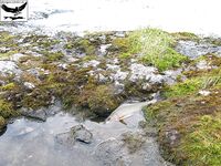 Швеция заполярье хариус путь через Кируна и озеро Торнетреск