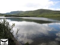 Швеция заполярье хариус путь через Кируна и озеро Торнетреск