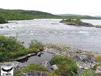 Швеция заполярье хариус путь через Кируна и озеро Торнетреск