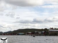 Швеция заполярье хариус путь через Кируна и озеро Торнетреск