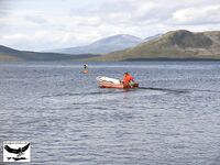 Швеция заполярье хариус путь через Кируна и озеро Торнетреск