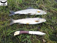 Швеция заполярье хариус путь через Кируна и озеро Торнетреск