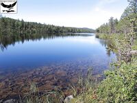 Швеция Заполярье хариус и заметки к прошлому отчёту