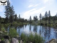 Швеция Заполярье хариус и заметки к прошлому отчёту