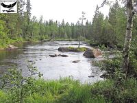 Швеция, заполярный хариус и короткий итог поездки