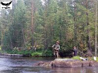 Швеция, заполярный хариус и короткий итог поездки