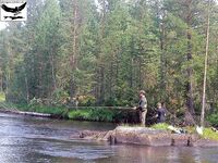 Швеция, заполярный хариус и короткий итог поездки