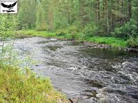 Швеция, заполярный хариус и короткий итог поездки