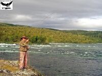 Швеция, заполярный хариус и короткий итог поездки