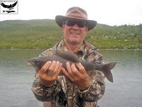 Швеция, заполярный хариус и короткий итог поездки