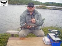 Швеция, заполярный хариус и короткий итог поездки