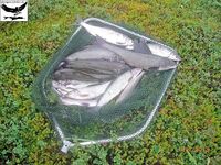 Швеция, заполярный хариус и короткий итог поездки