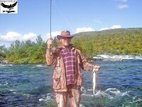 Швеция, заполярный хариус и короткий итог поездки