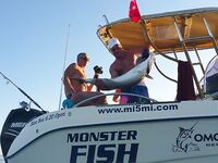 Алания - морская рыбалка и трофеи на фото