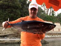 Алания морская рыбалка тунцы и амберджек