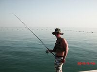 Вернулся в Аланию морская рыбалка не зашла фото без отчёта