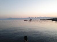 Вернулся в Аланию морская рыбалка не зашла фото без отчёта