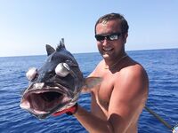 Алания: рыба-меч 20 кг и групер на 7