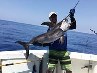 Алания: рыба-меч 20 кг и групер на 7