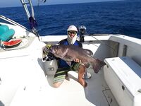 Сезон открыт морская рыбалка в Турции и глубины 350+