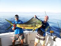 Трофейная махи махи и морская рыбалка в Турции 20 кг