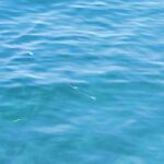 Бодрум: место нашёл, пойду утром