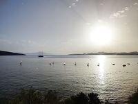 Алания: сарган ушёл, барракуда отметилась