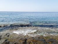 Алания: грудка не держится, ракушка спасла