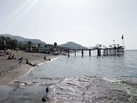 Алания: грудка не держится, ракушка спасла