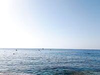 Алания: грудка не держится, ракушка спасла