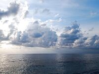 Алания: «грида», отпустил по требованию