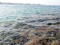 Алания: сушёная курица и камни