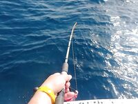 Авсаллар: недотянутый осьминог