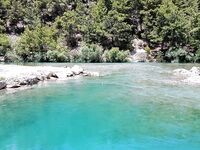 Аларахан: 15 форелей за 4.5 часа