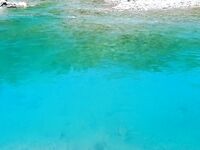 Аларахан: 15 форелей за 4.5 часа