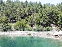 Алания: сазан не подошёл, ушёл в форель