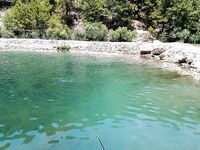 Алания: сазан не подошёл, ушёл в форель