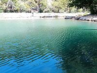 Алания: сазан не подошёл, ушёл в форель