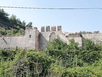 Алания: сазан не подошёл, ушёл в форель