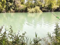 Алара Чай: сазан плещет, поклёвок нет