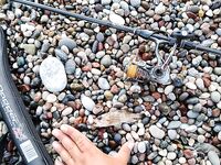 Алания: вечер у камней и зелёный «маракью»