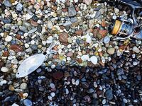 Алания: вечер у камней и зелёный «маракью»