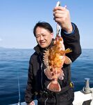 Япония: снег, Slow Jig и Tai Rubber