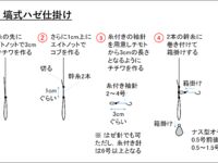 Япония: уточнение по сборке снасти