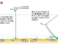 Япония: уточнение по сборке снасти