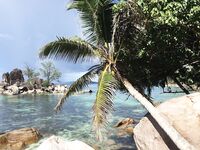 Сейшелы май: берег, лобстеры и гриль