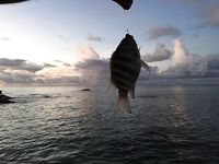 Сейшелы май: берег, лобстеры и гриль